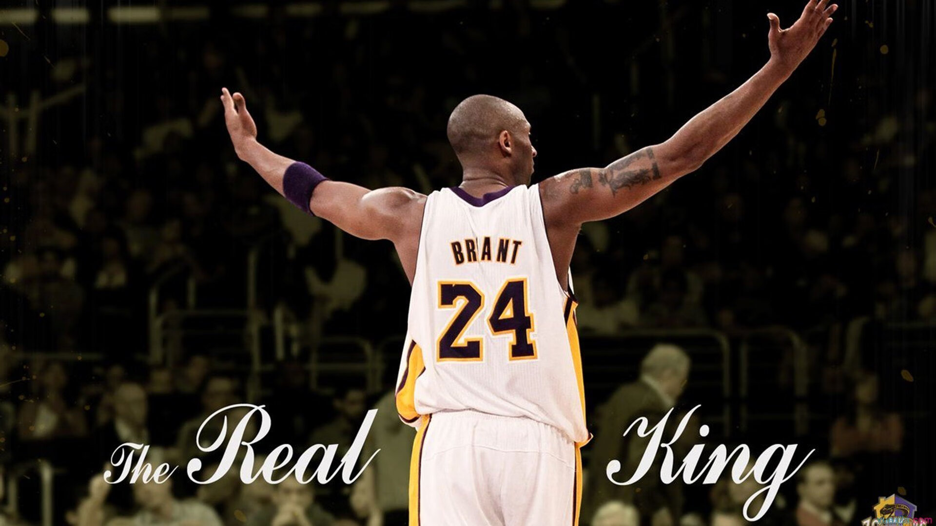 _著名运动员的成长秘诀：坚持与热爱_，运动员坚持的故事及感悟